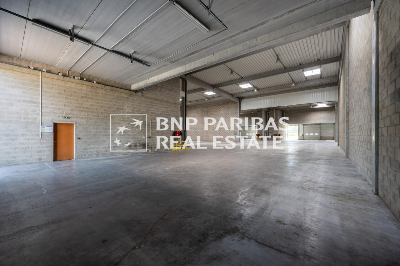 Local d'activité Élancourt 534m² Location local d'activité Élancourt Yvelines OLACT2318123 6
